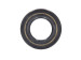 Oil seal 17,00/30,00*6,50 scheme type 1PM