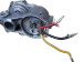 Electric motor ESC with drive gear Ford Mustang 14-