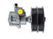 Hydraulic power steering pump