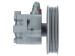 Hydrauliczna pompa wspomagania Nissan X-Trail T30 00-09, Nissan Primera P12 02-08