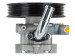 Hydraulic power steering pump