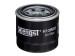 Filtr oleju Kia Optima 10-16, Mitsubishi Lancer X 07-, Mazda 6 08-12