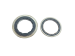 Electric motor gland rotor **