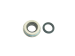 Electric motor gland rotor **