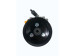 Hydraulic power steering pump