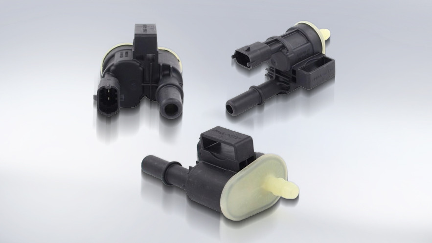 Software-Deaktivierung des EVAP-Tankentlüftungssystems